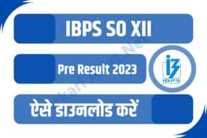 IBPS SO XII Pre Result 2023