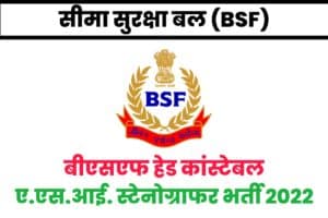 BSF Head Constable Min, ASI Stenographer Recruitment 2022
