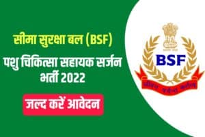 BSF Veterinary Assistant Surgeon Recruitment 2022 Online Form