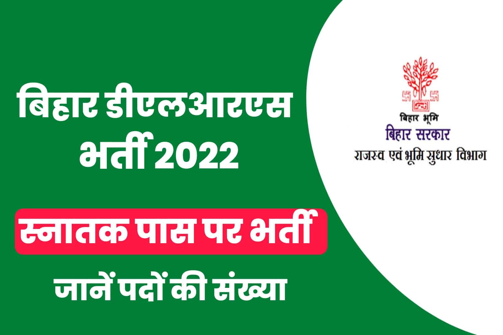 Bihar DLRS Recruitment 2022 Online Form | बिहार डीएलआरएस भर्ती 2022