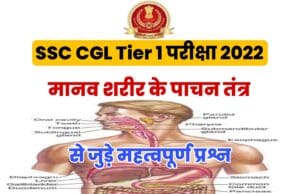 Body's Digestive System Related Questions For SSC CGL Tier 1 Exam