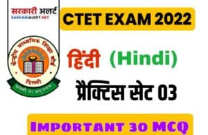 CBSE CTET General Hindi Practice Set 03