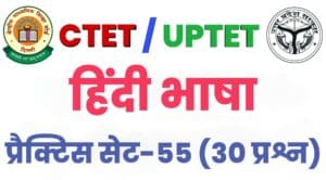 CTET Hindi Language Practice Set 55