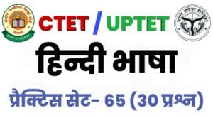 CTET Hindi Language Practice Set 65