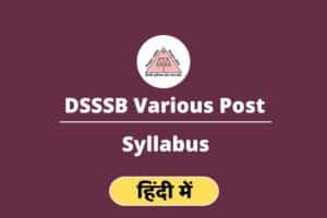 DSSSB Syllabus In Hindi