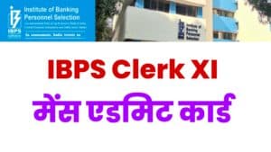 IBPS Clerk XI Mains Admit Card 2022