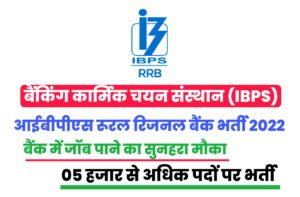 IBPS RRB XI Recruitment 2022 