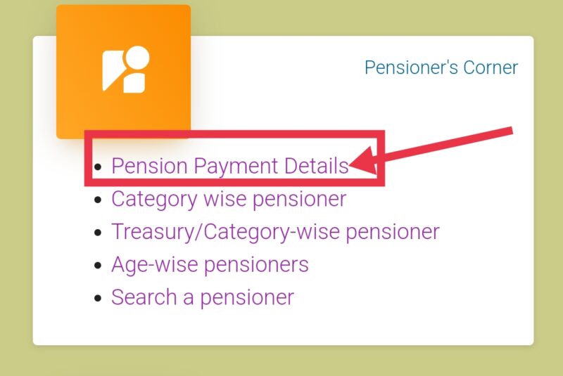 Pension Payment Details