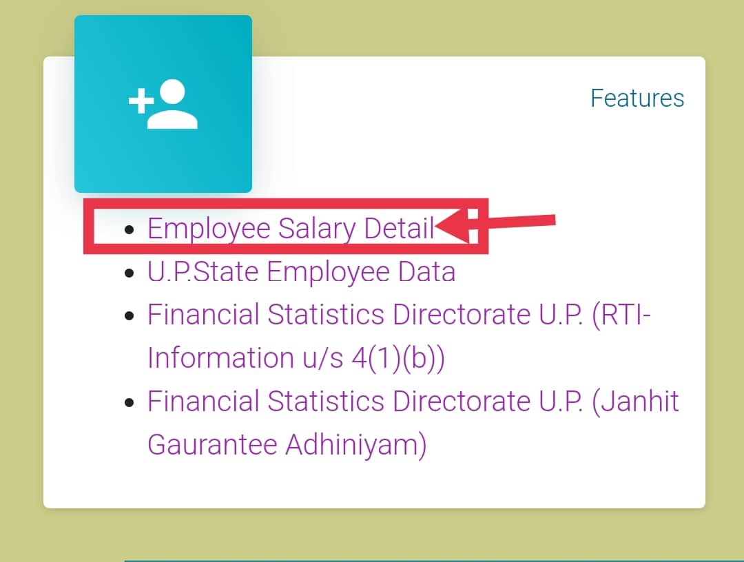 Employee Salary Detail