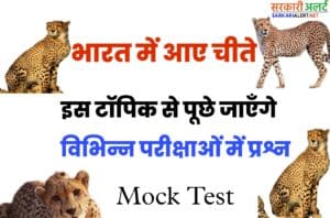 Important Questions Related To The cheetah That Came To India