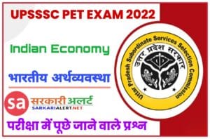 Indian Economy Related Questions for UPSSSC PET Exam