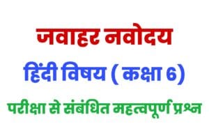 Jawahar Navodaya Class 6 Hindi Practice Set 3