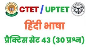 UPTET/CTET Hindi Language Practice Set 43 