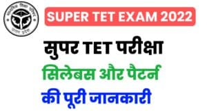 Super Tet Syllabus In Hindi