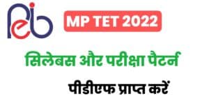 MP TET Syllabus Hindi