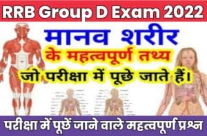 Human body Related Most Important Questions For RRB group D Exam