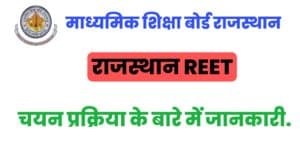 Rajasthan Reet Selection Process 