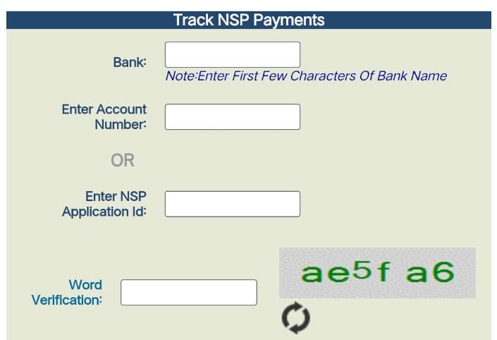 Track NSP Payment