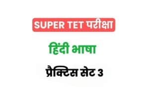 Super TET 2022 Hindi Practice Set 3