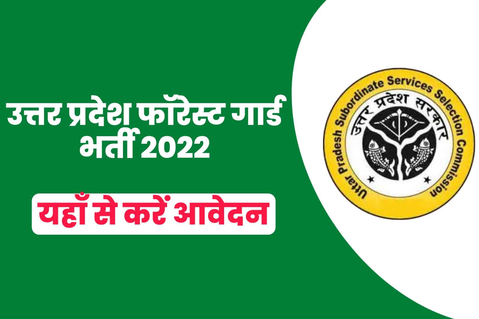 UPSSSC Forest Guard Recruitment 2022 Online Form | उत्तर प्रदेश फॉरेस्ट गार्ड भर्ती 2022
