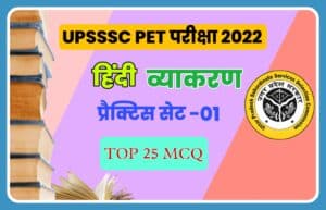 UPSSSC PET Hindi Grammar Practice Set 01