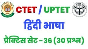ctet hindi language practice set 36