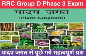 Plant Kingdom Related Important Questions For RRC Group D Exam
