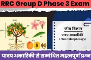 Plant Morphology Related Important Questions For RRC Group D Exam