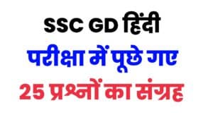 SSC GD Constable Hindi 25 Questions
